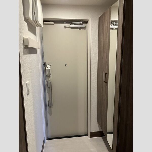 プランドール シューズボックス(トール)