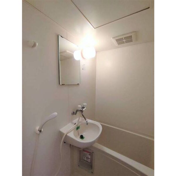 パークハウスイマイS0207号室 洗面