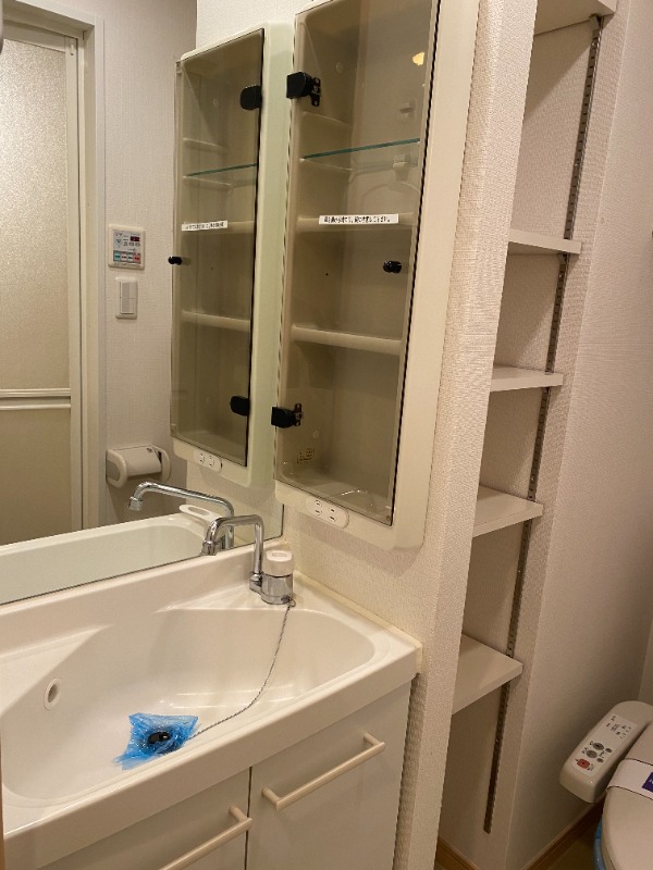 レジディア大森4階 洗面