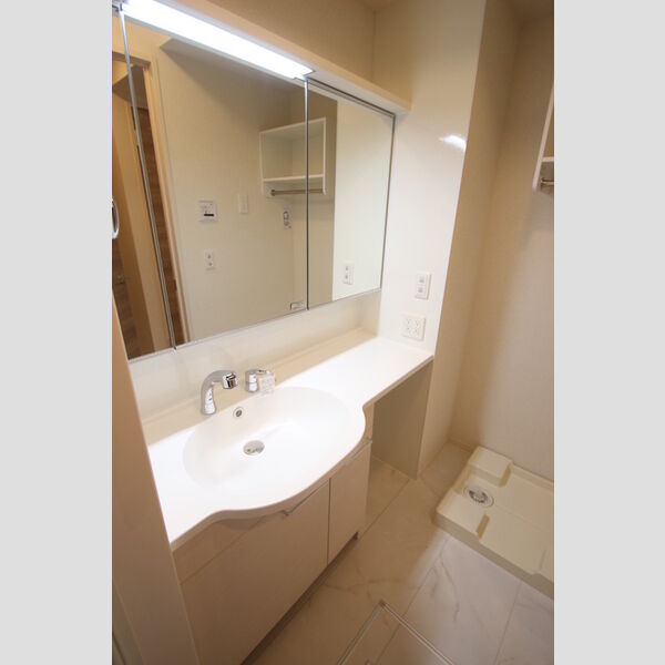 ファミユB306号室 洗髪洗面化粧台