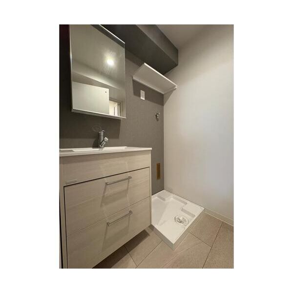 VISTA　HONANCHO202号室 洗面