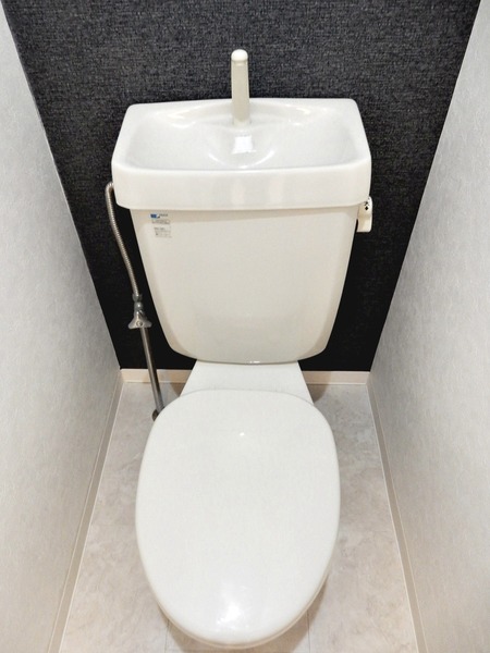 アイエルハイツ103号室 同建物別部屋の参考画像