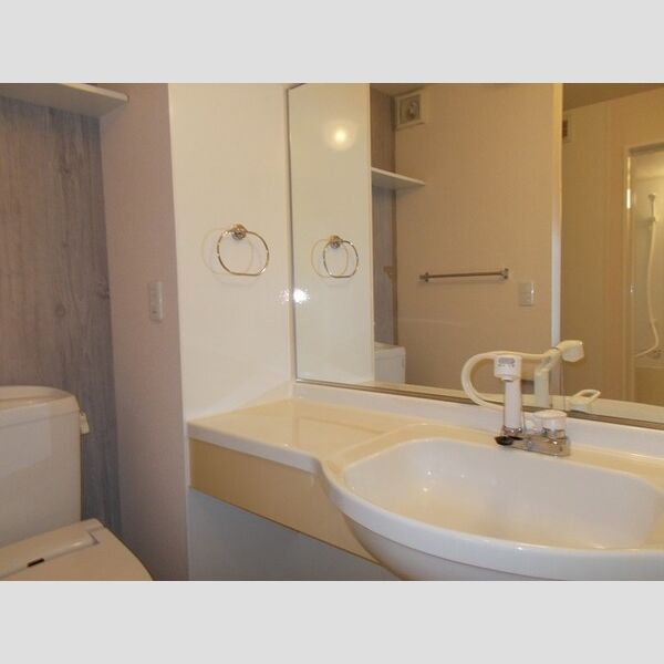 サニーフラット三ツ沢203号室 パウダールーム