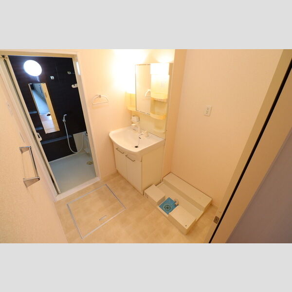 アヴェニール新川崎103号室 洗面室