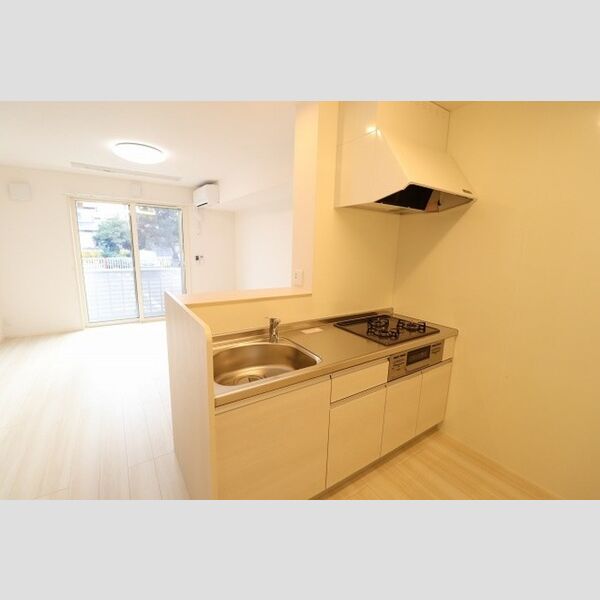 セジュールY&Y102号室 対面システムキッチン