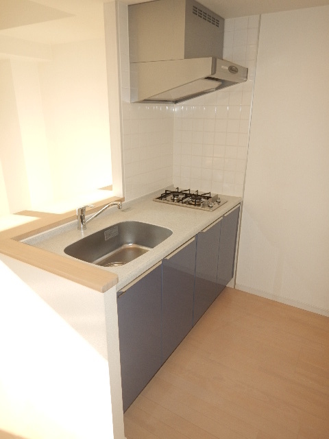 ガーラ・ステーション菊川 キッチン