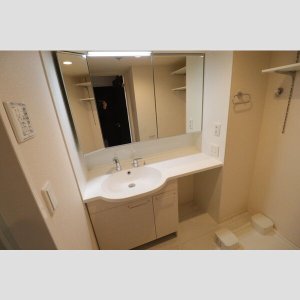 グリーングラス 独立洗面台