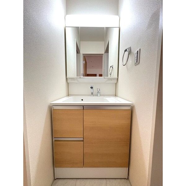 フェリス0101号室 洗面