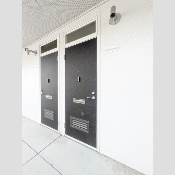 カピースハイツA棟203号室 玄関ドア