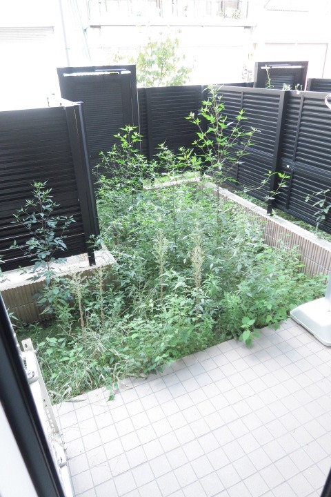 ロイジェント志村坂上1階 バルコニー