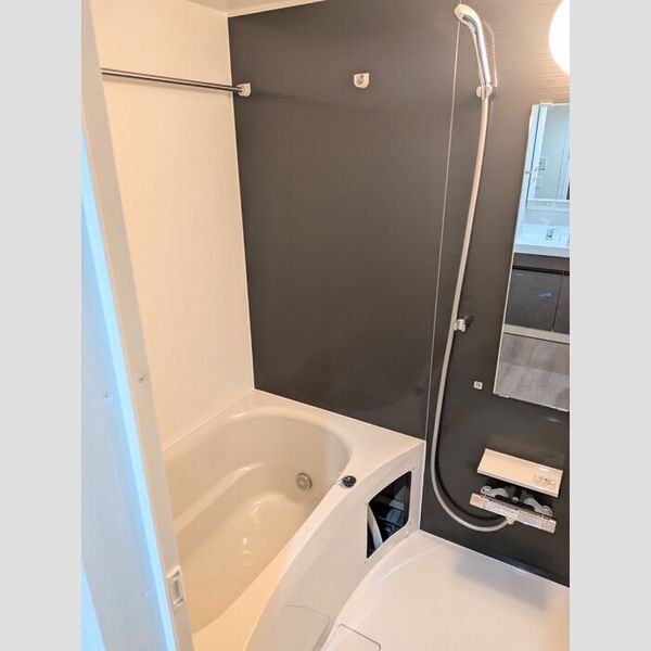 ロイジェント潮見0705号室 バス