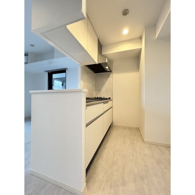 ＧＡＲＢＯ　ＦＵＪＩＳＡＷＡ503号室 キッチン