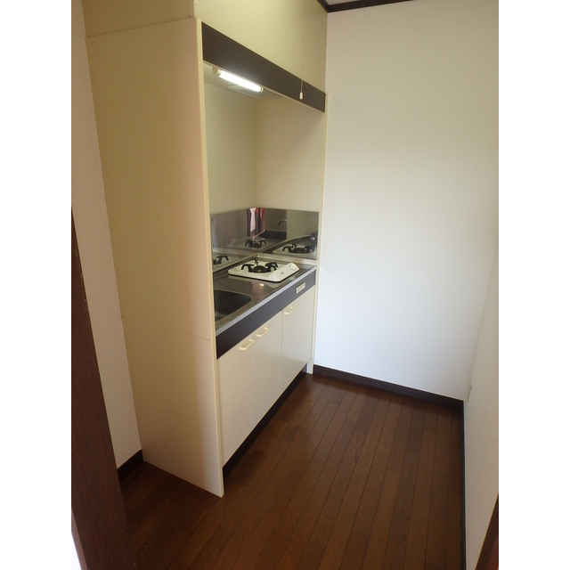 グリーンハイツ茅ヶ崎204号室 独立キッチン：照明(天井・手元灯)