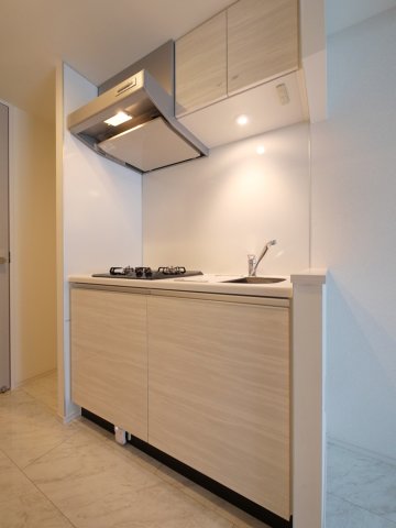 ハーモニーレジデンス武蔵小杉フォレストスクエア2階 内観