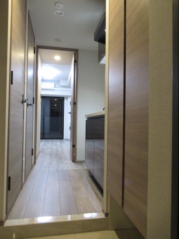 DIPS亀有駅前504号室 玄関