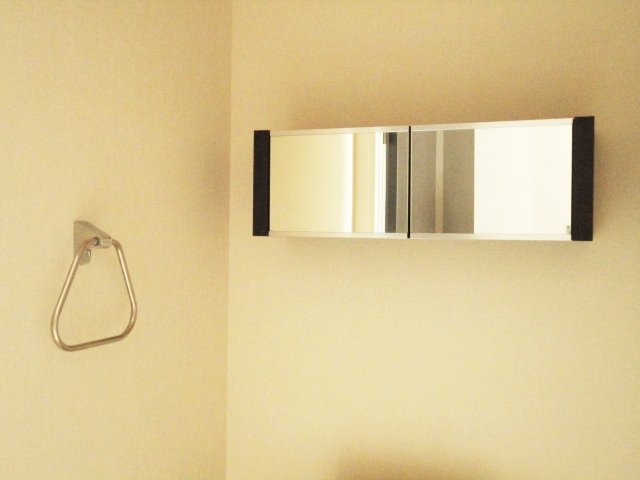 サンフォレスタ２番館201号室 ＷＣ収納