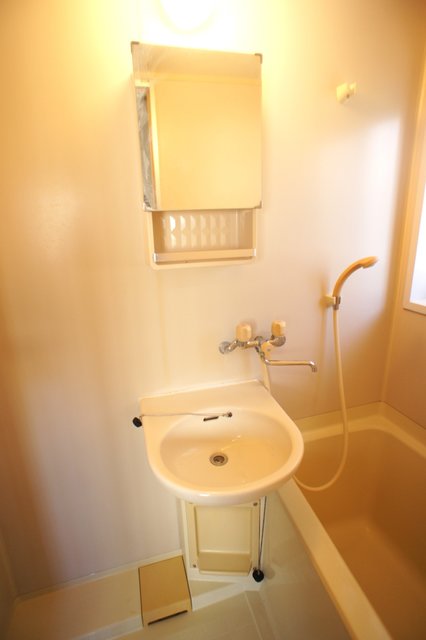 ハイムエヌティー0108号室 洗面
