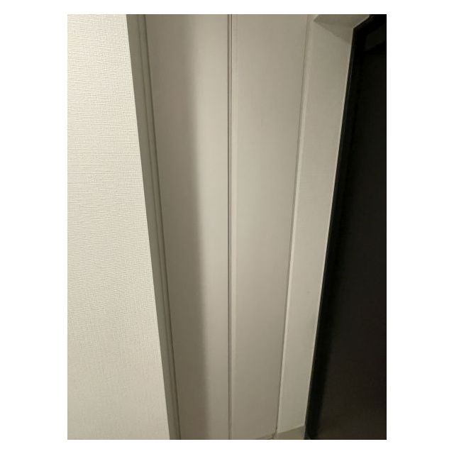 オープンブルーム川口並木0501号室 玄関