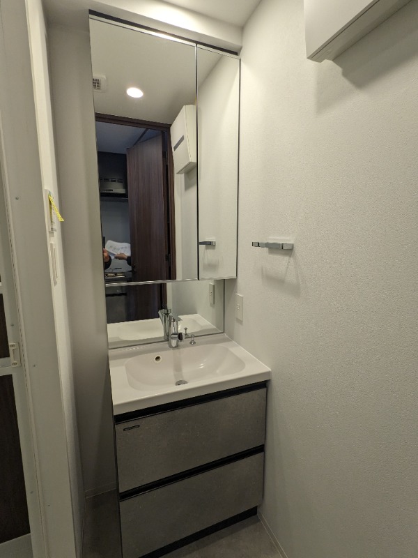 プロスタイルウェルス豊洲イースト6階 洗面