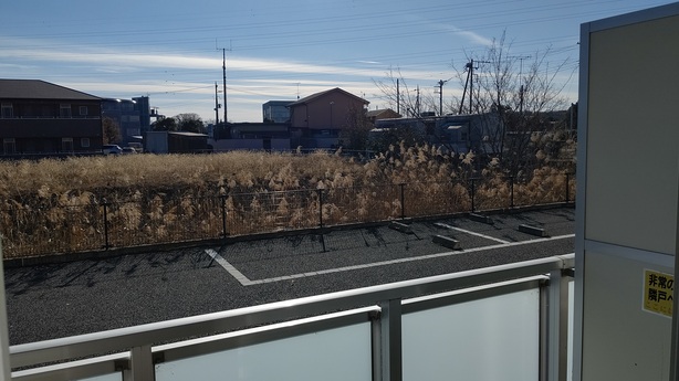 レオネクストアルト304号室 部屋その他