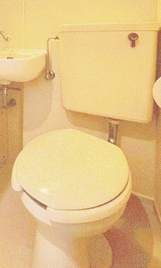 パレス等々力弐番館2階 同建物別部屋の参考画像