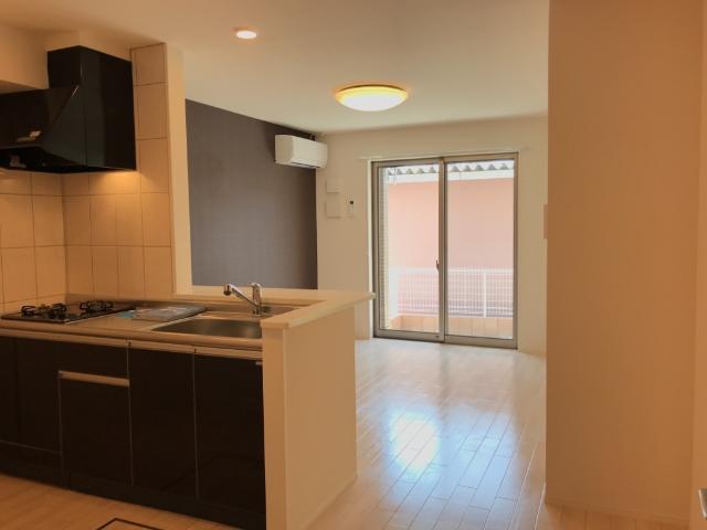 レンミッキ～ｌｅｍｍｉｋｋｉ～101号室 キッチン