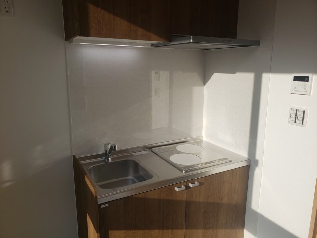 Ｔｈｅ　Ｒｅｓｉｄｅｎｔｉａｌ浅草0301号室 キッチン