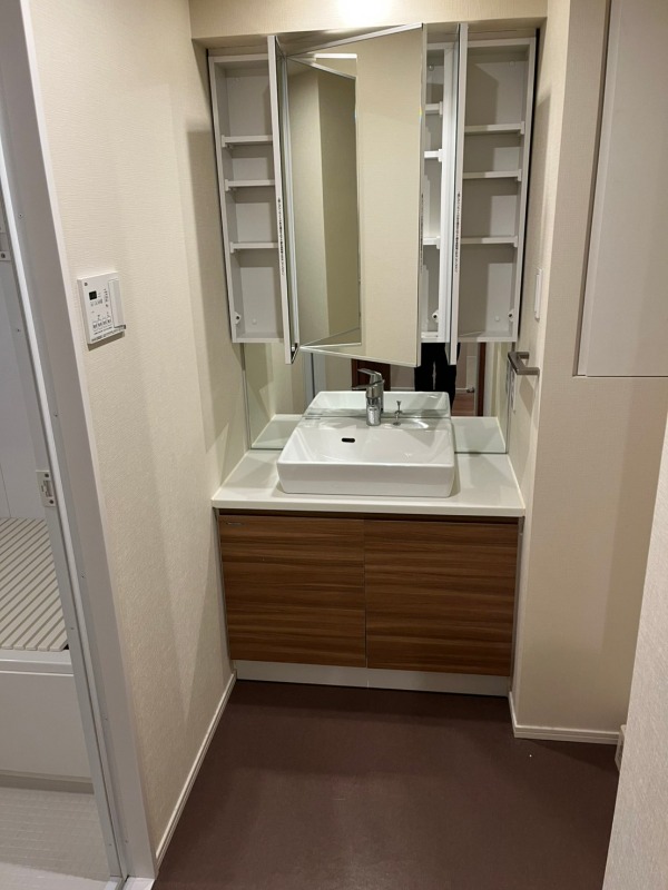 ドムス・スタイル武蔵小山4階 洗面