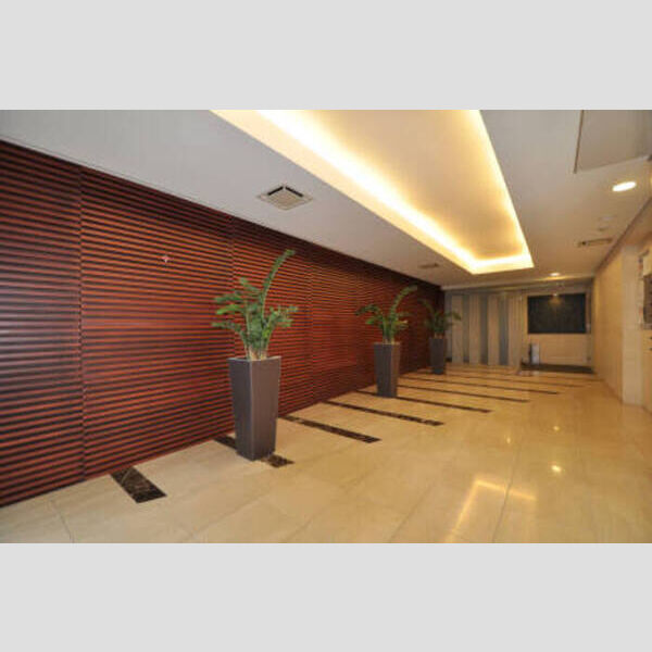 カスタリア高輪台Ⅱ0306号室 ロビー