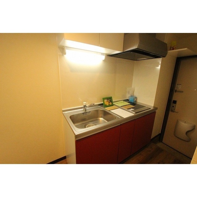 ラヴィータ湘南203号室 内観