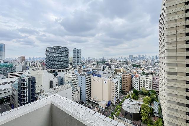 アーバンフラッツ池袋プレミアム18階 眺望