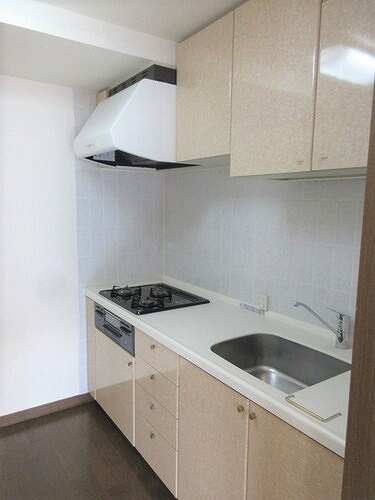 レクセル鶴川 キッチン　※2021年9月撮影