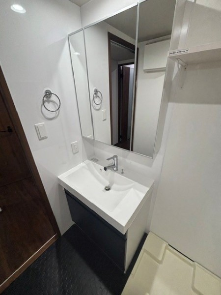 Ｔｈｅ　Ｓｈｉｎａｇａｗａ　Ｅａｓｔ　Ｒｅｓｉｄｅｎｃｅ1階 洗面