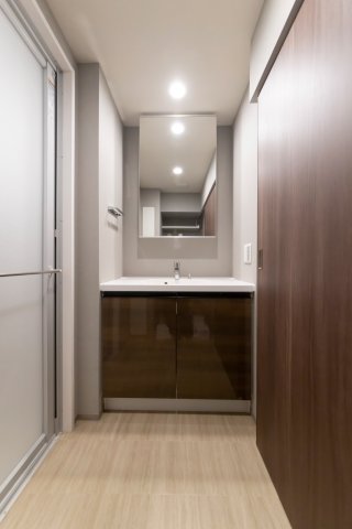 プラウドフラット文京千駄木1402号室 洗面