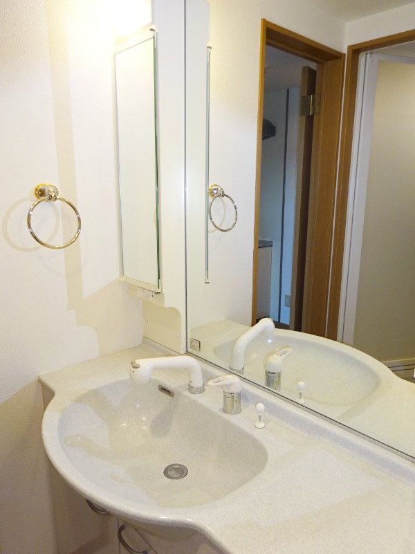 サンヴィアーレ・グランサージュ1階 洗面