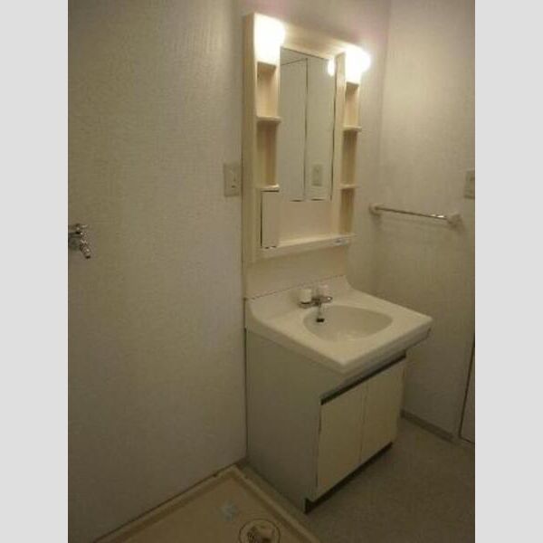 ドミールK　B ドミールKB103(洗面室)