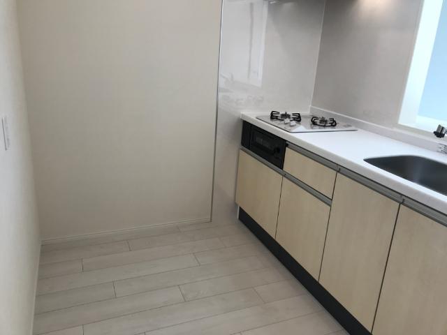 Ｂrowny Ｇreen　(ブラウニーグリーン)203号室 キッチン