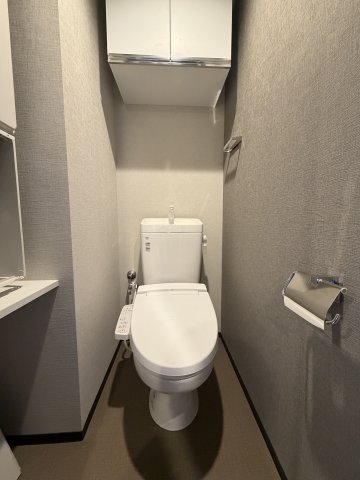 GRAN PASEO 鷺ノ宮305号室 トイレ