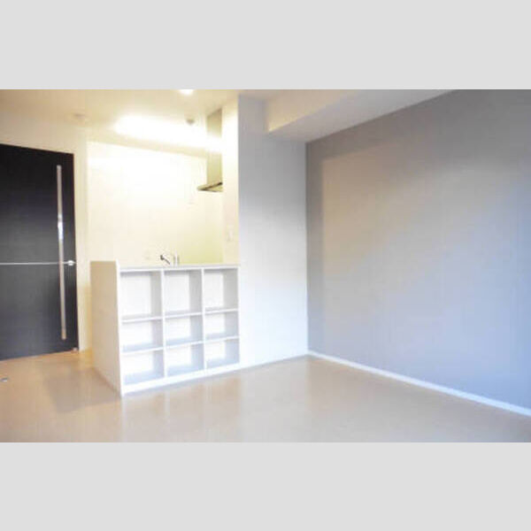 プレシャスガーネット カウンター収納も便利です