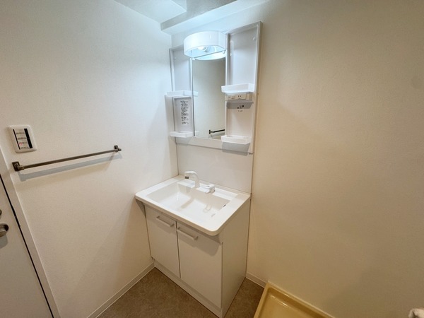 ハイム下鶴間203号室 洗面
