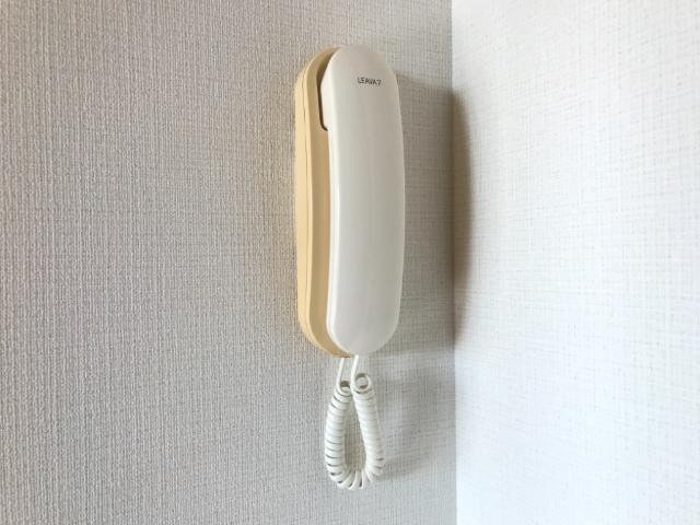 イズミガーデンヒルズ206号室 セキュリティ