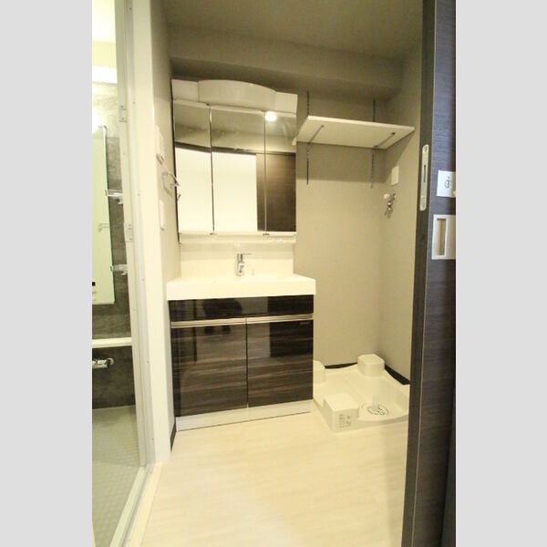 ロイジェント九段205号室 洗面