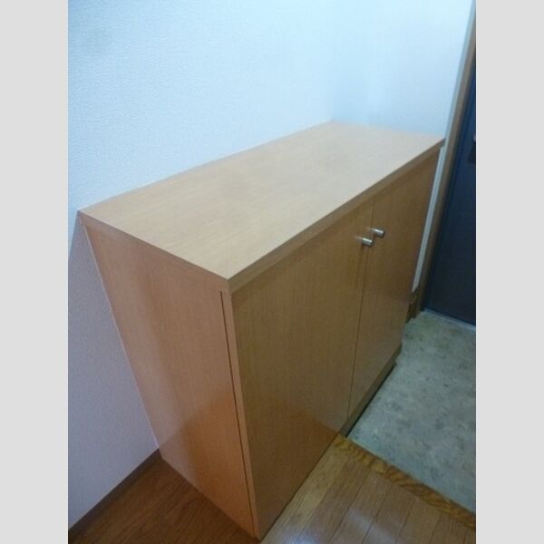 エミナンス丸山台203号室 シューズボックス(カウンター)