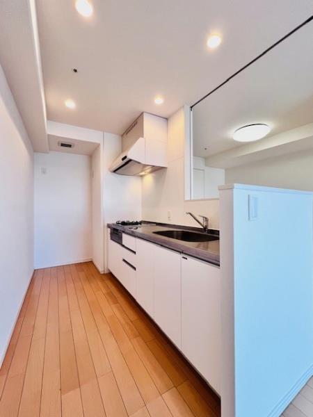 Ｂｒｉｌｌｉａ　ｉｓｔ　東雲キャナルコート12階 キッチン