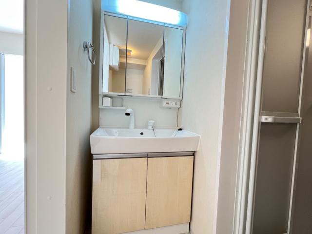 フェリーチェ101号室 洗髪洗面化粧台