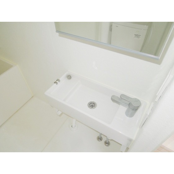 ハウス・ホンマチD号室 洗面