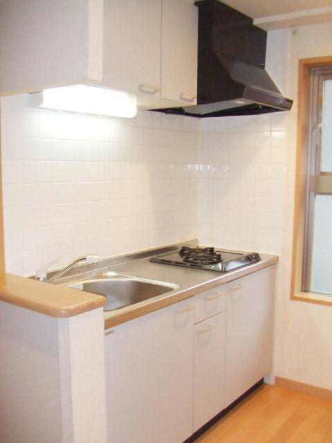 プレシャス0803号室 キッチン