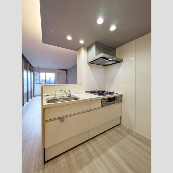 ラピスラズリ東林間302号室 キッチン