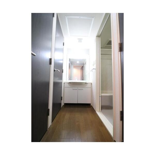 2232フレグランスアベニュー305号室 洗面