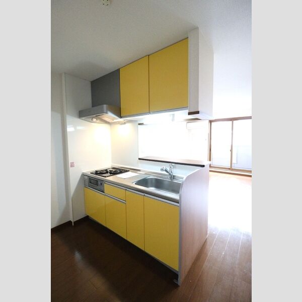 ファミール河内203号室 キッチン